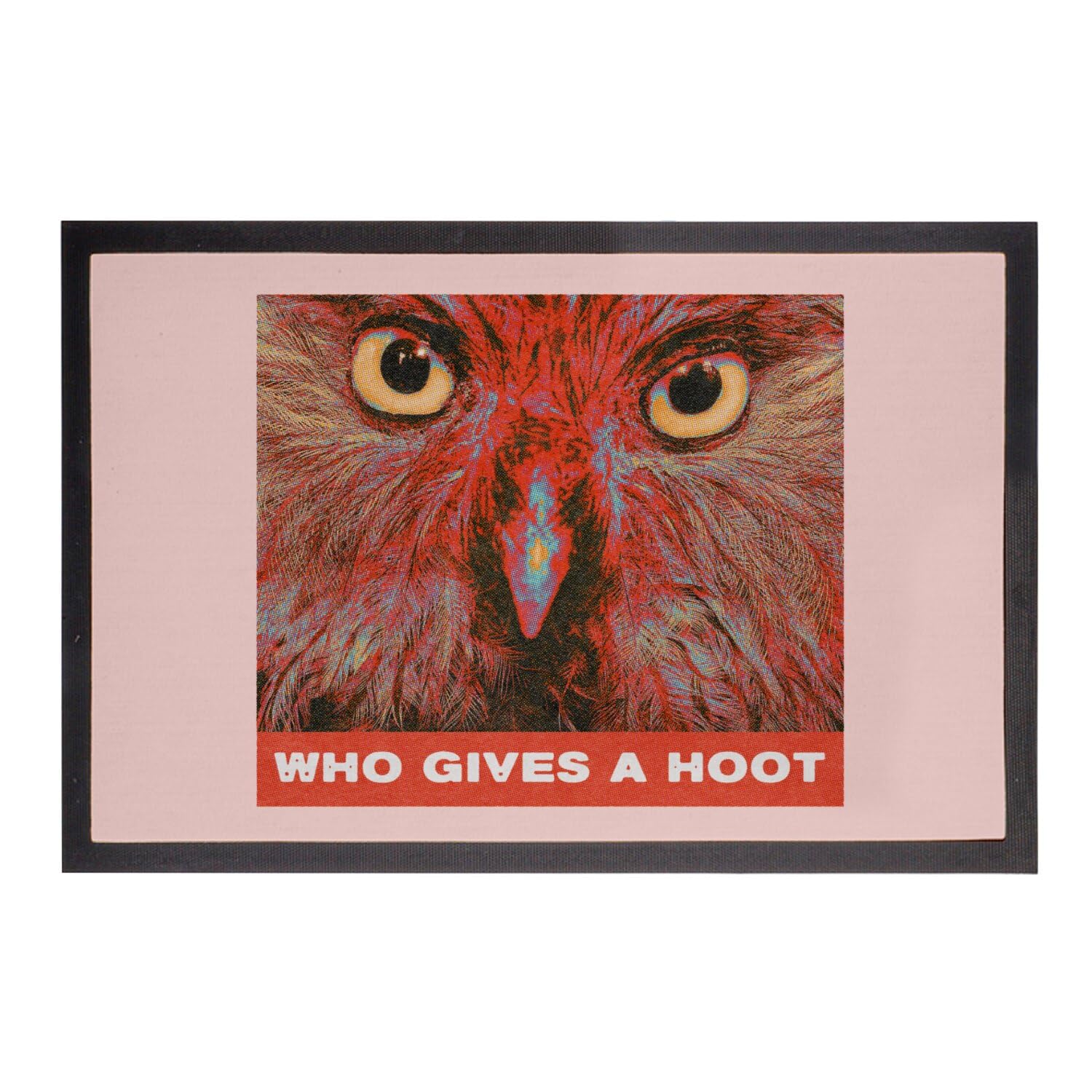 Paillasson Rose animal oiseau grand format 75x50cm tapis d'entrée vintage original et drôle