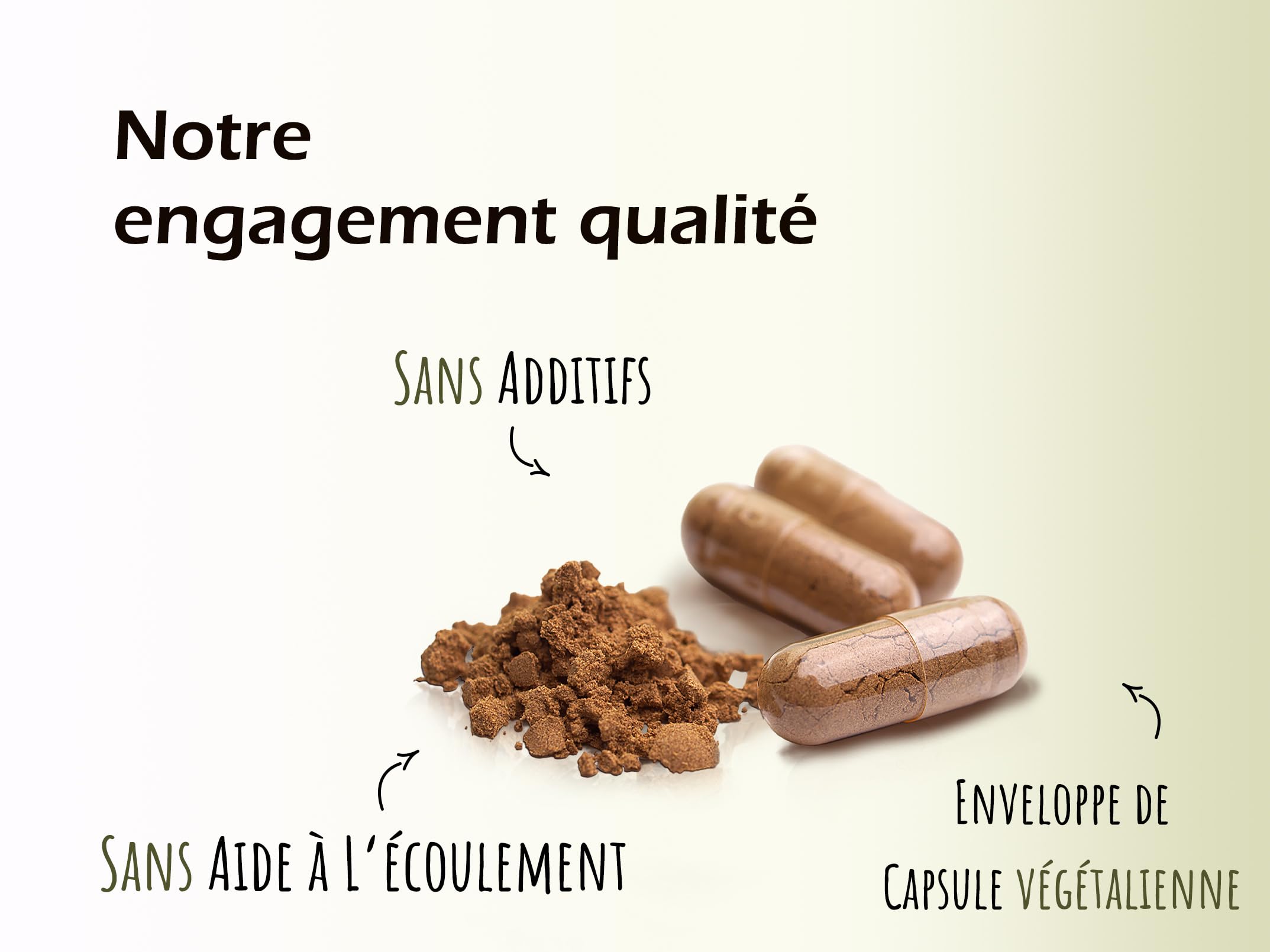 JKR Spices Lot de 420 capsules végétaliennes de clou de girofle – Capsules végétaliennes remplies de poudre de clou de girofle de haute qualité – Hautement dosées – 450 mg de clous de girofle moulus –