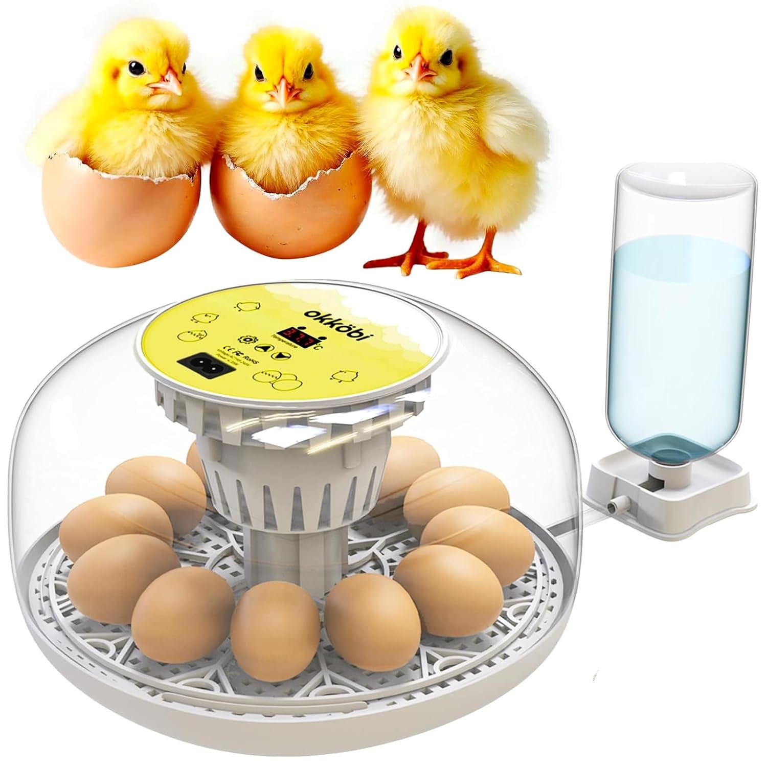 M12 Egg Incubator with Automatic Turning and Humidity Control, 12-24 Eggs