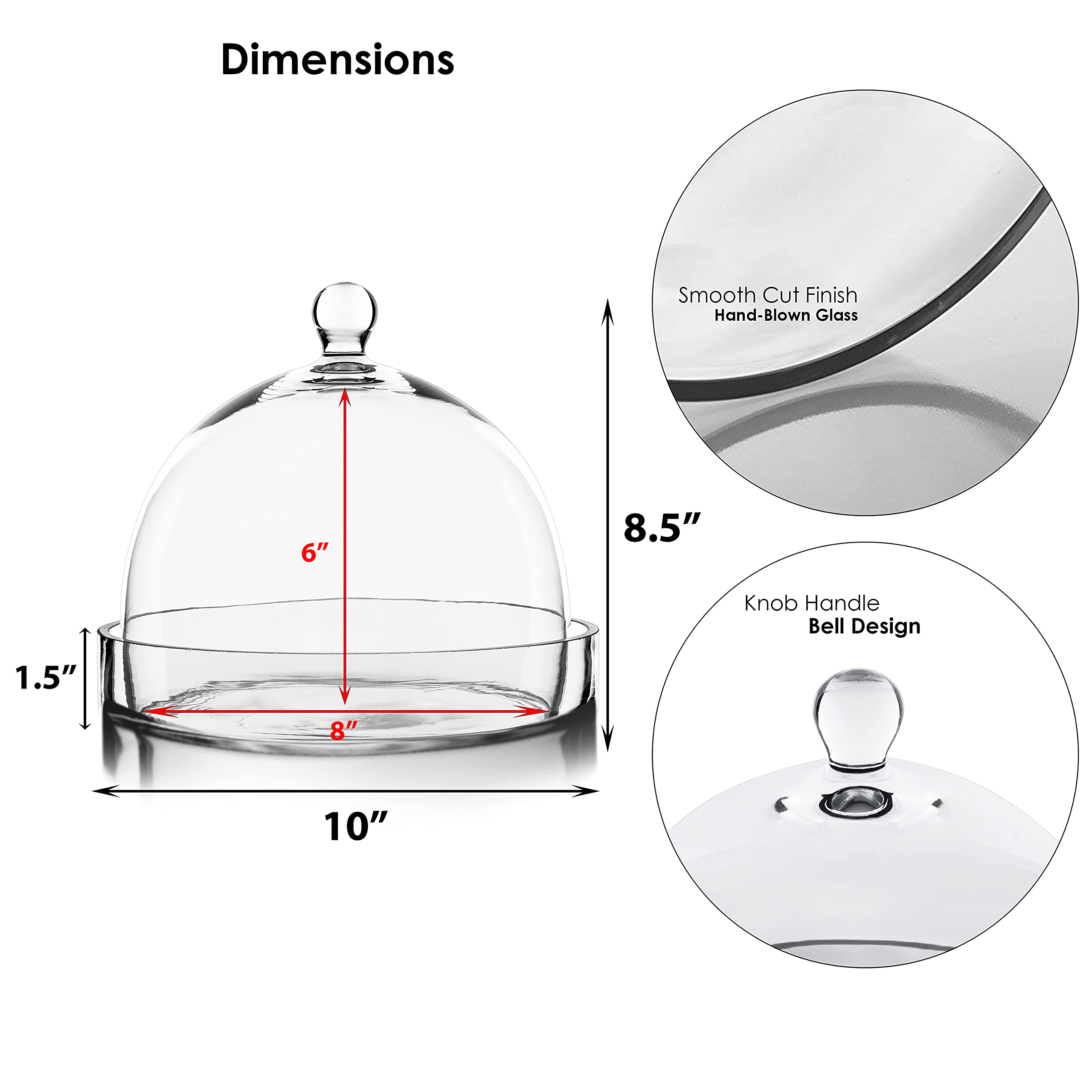 CYS EXCEL Glass Bell Dome Cloche With Glass Base (H:8.5