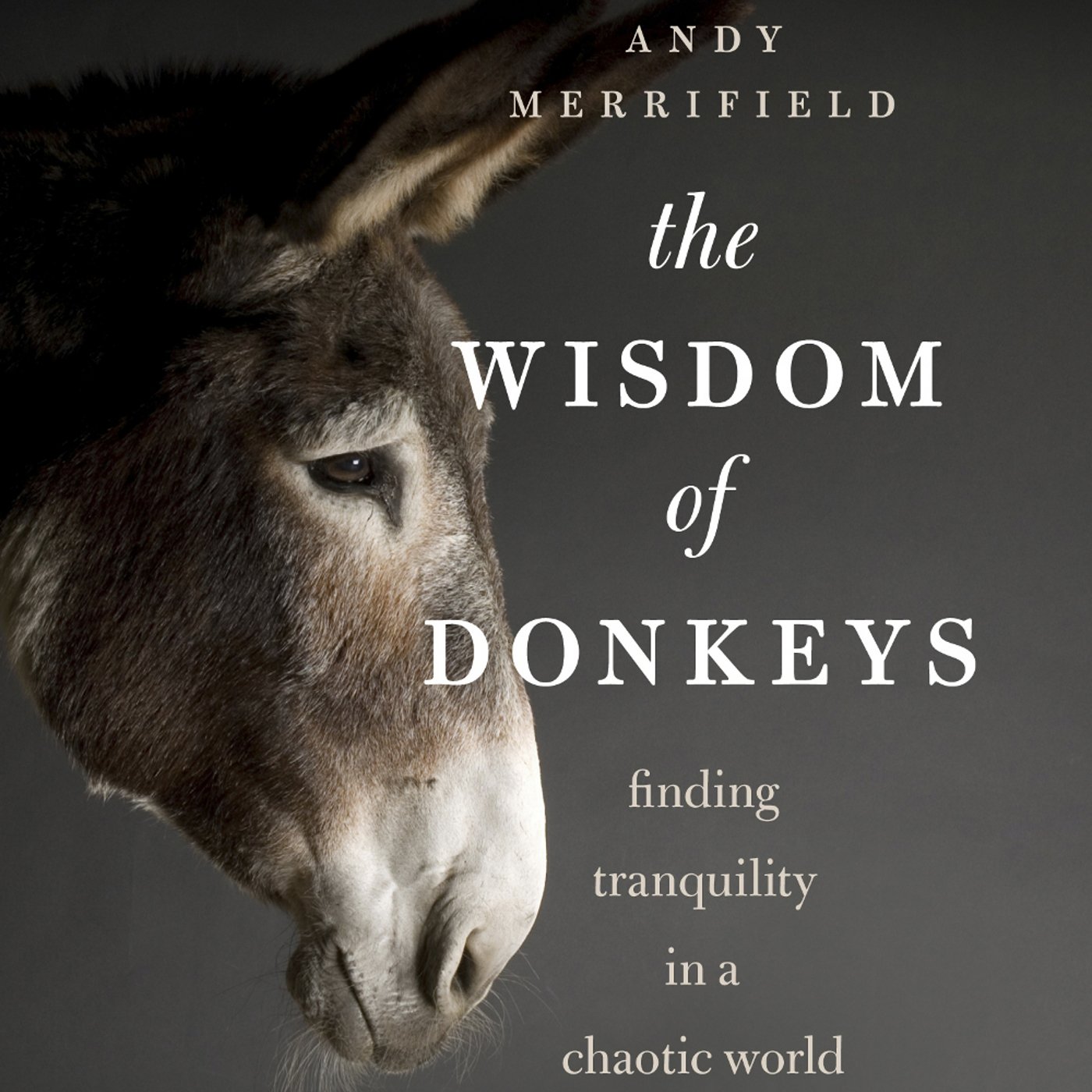 The Wisdom of Donkeys