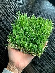 Synthetic Grass Cover Artificial Grass Realistic Garden 4 Colours of Colour Anti-UV Synthetic Grass Non-Toxic Draining Ideal for Swimming Pool Terrace Play Areas Driveways (30 mm 2 x 10 m 20 m²)