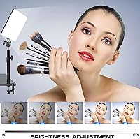 Vista 3 de LED Desk Bi-Color Video Light, Key Light with C-Clamp Stand, 2700K-5700K Dimmable, Wireless Remote, Studio Photography Lighting