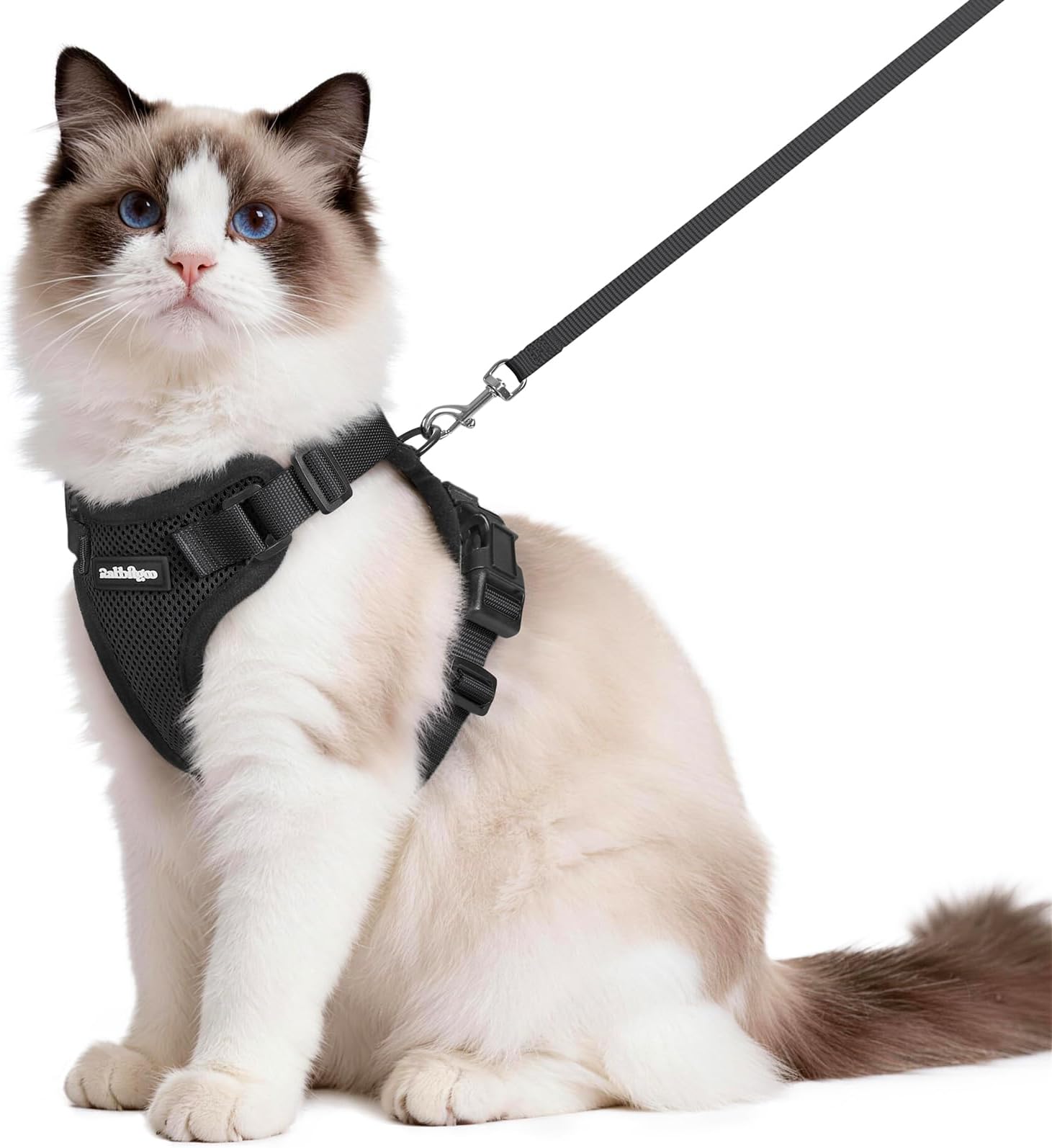 Rabbitgoo Cat Harness and Leash Set, Escape-Proof, Soft and Lightweight, Suitable for Both Cats and Dogs, for Extra Small and Small Dogs, for Walking and Disaster Evacuation, Harness and Lead, Easy to