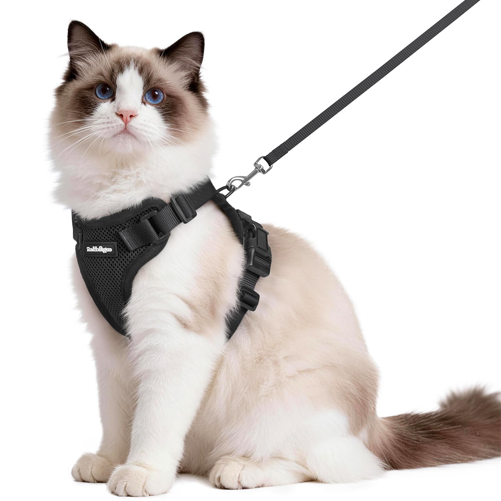 rabbitgoo Cat Harness and Leash for Walking, Escape Proof Soft Adjustable Vest Harnesses for Cats, Easy Control Breathable Reflective Strips Jacket, Black, M