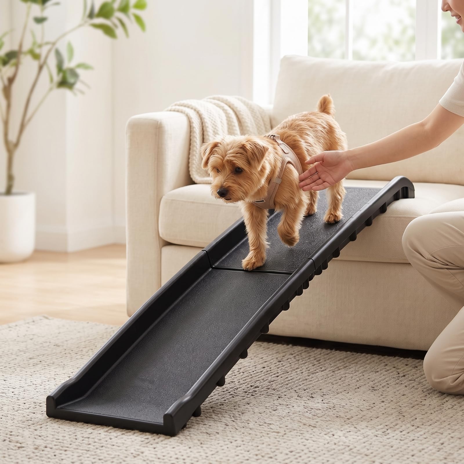 predolo Rampa per Cani Portatile Robusta, Erba
