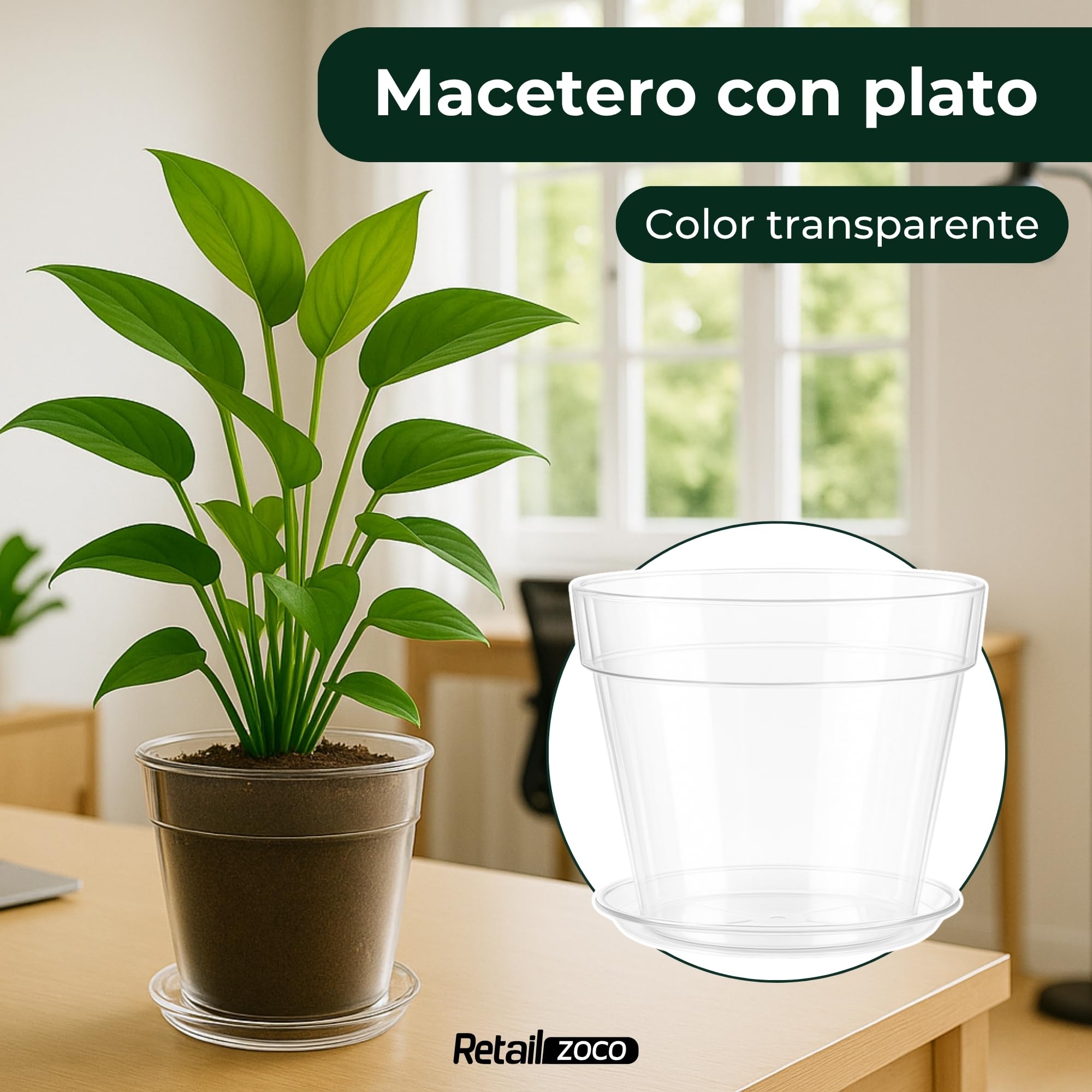 Macetero con Plato, Maceta Redonda clásica de plástico con Plato, Tiesto para Plantas, Polipropileno, 20 cm Altura x 21.3 cm Diámetro Superior x 13.2 cm Diámetro Base, Transparente. - imagen 2