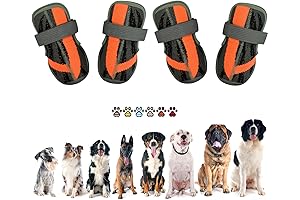 Medium Dog Shoes for Walking