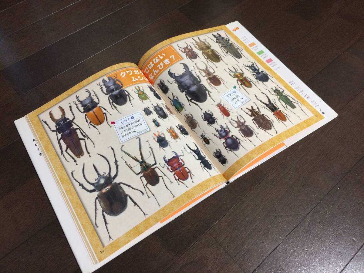Amazon.co.jp: ☆海野和男のさがしてムシハカセ(1) さがそう！ちがう 