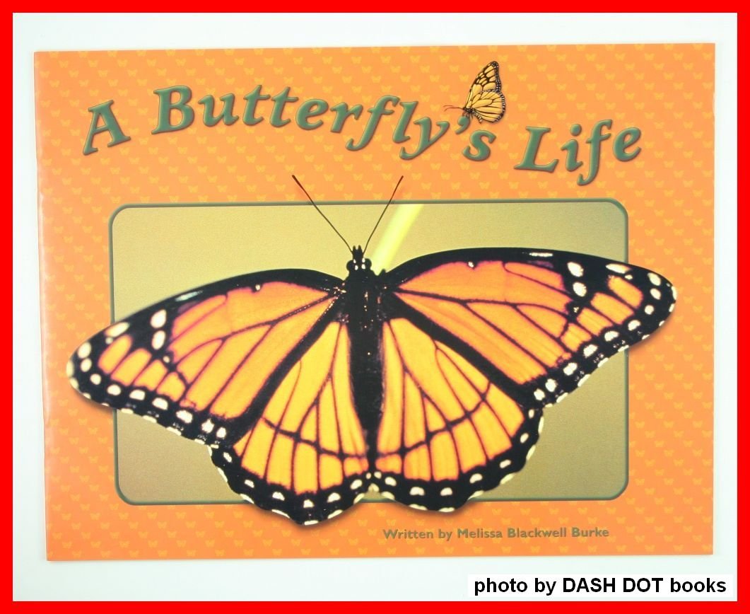 Buy A Butterfly's Life Book Online at Low Prices in India A Butterfly