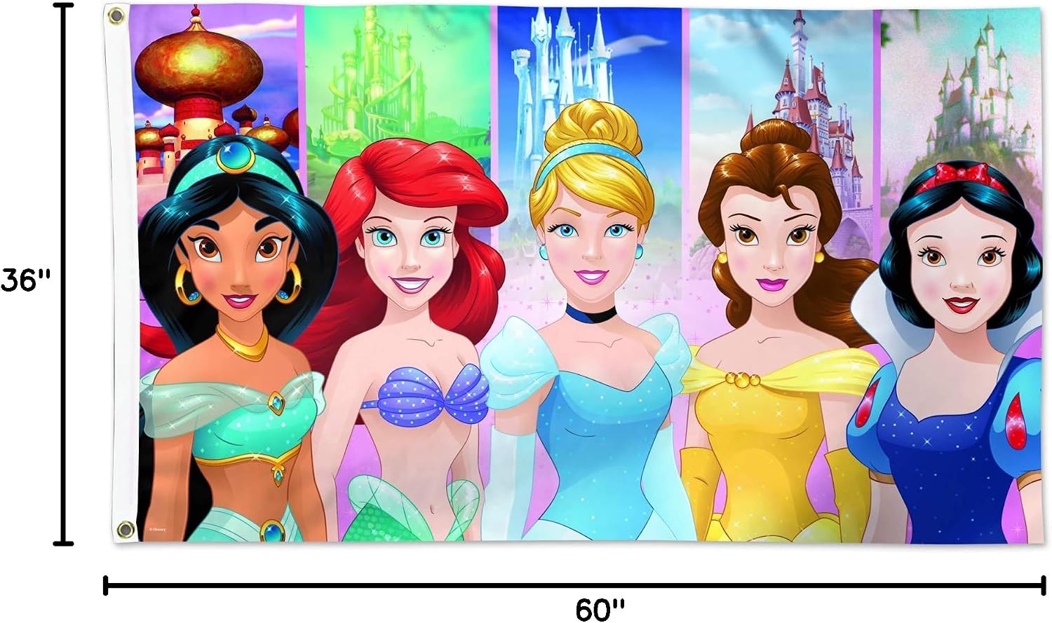 Disney 3'x5' Deluxe Flag