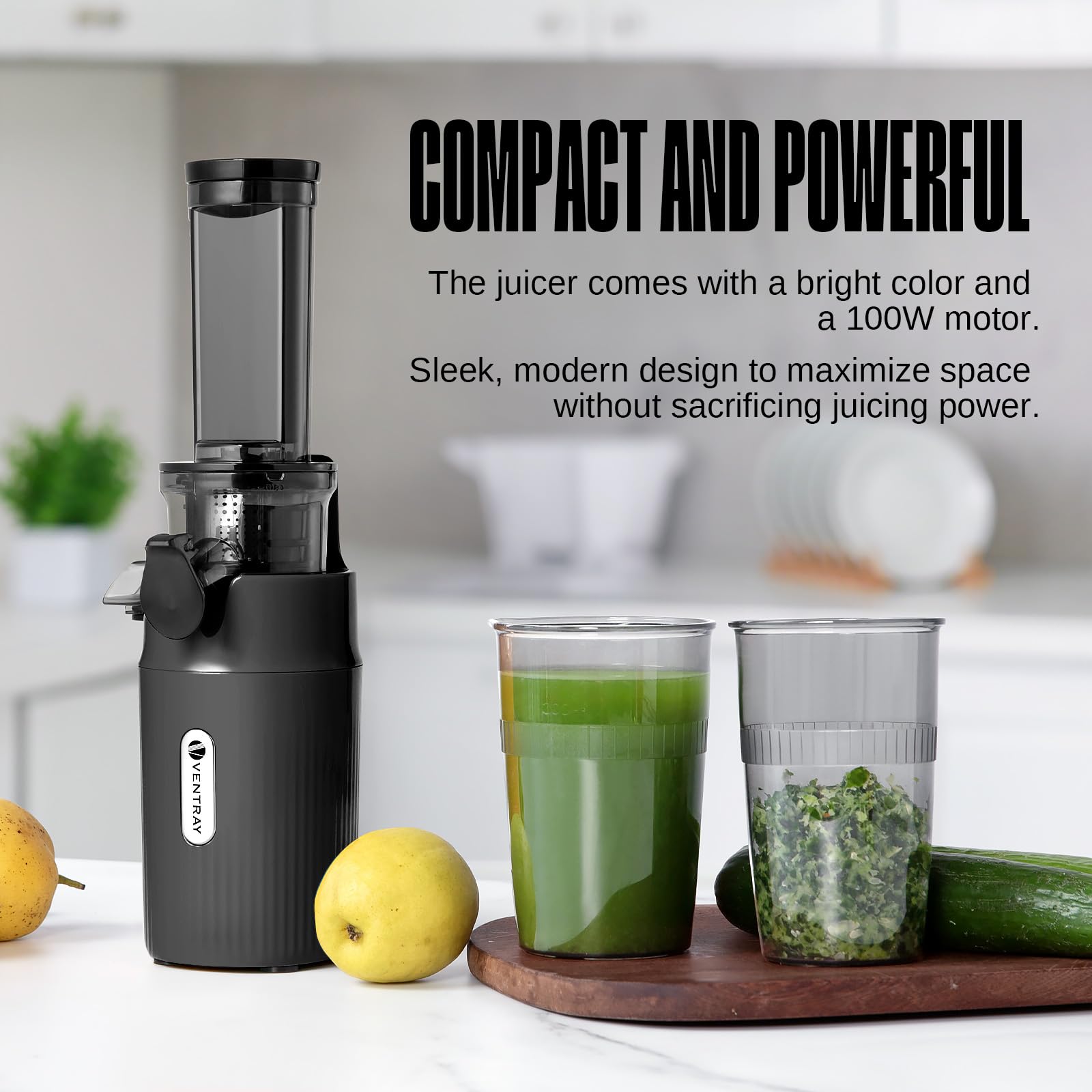 Ventray Ginnie Extracteur de Jus - Slow Juicer Pression Douce 60 Tours, Presse à froid, Sans BPA, Noir