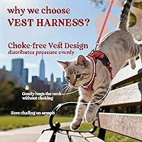 Vista 3 de rabbitgoo - Arnés y correa para caminar, a prueba de escape, suave y ajustable, para gatos, fácil control, transpirable, tiras reflectantes.
