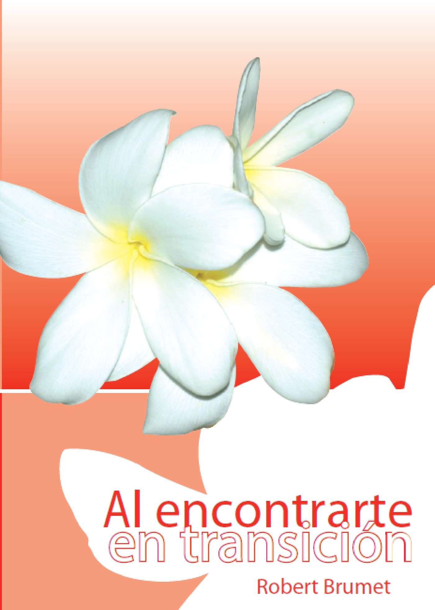 Al encontrarte en transición (Spanish Edition)