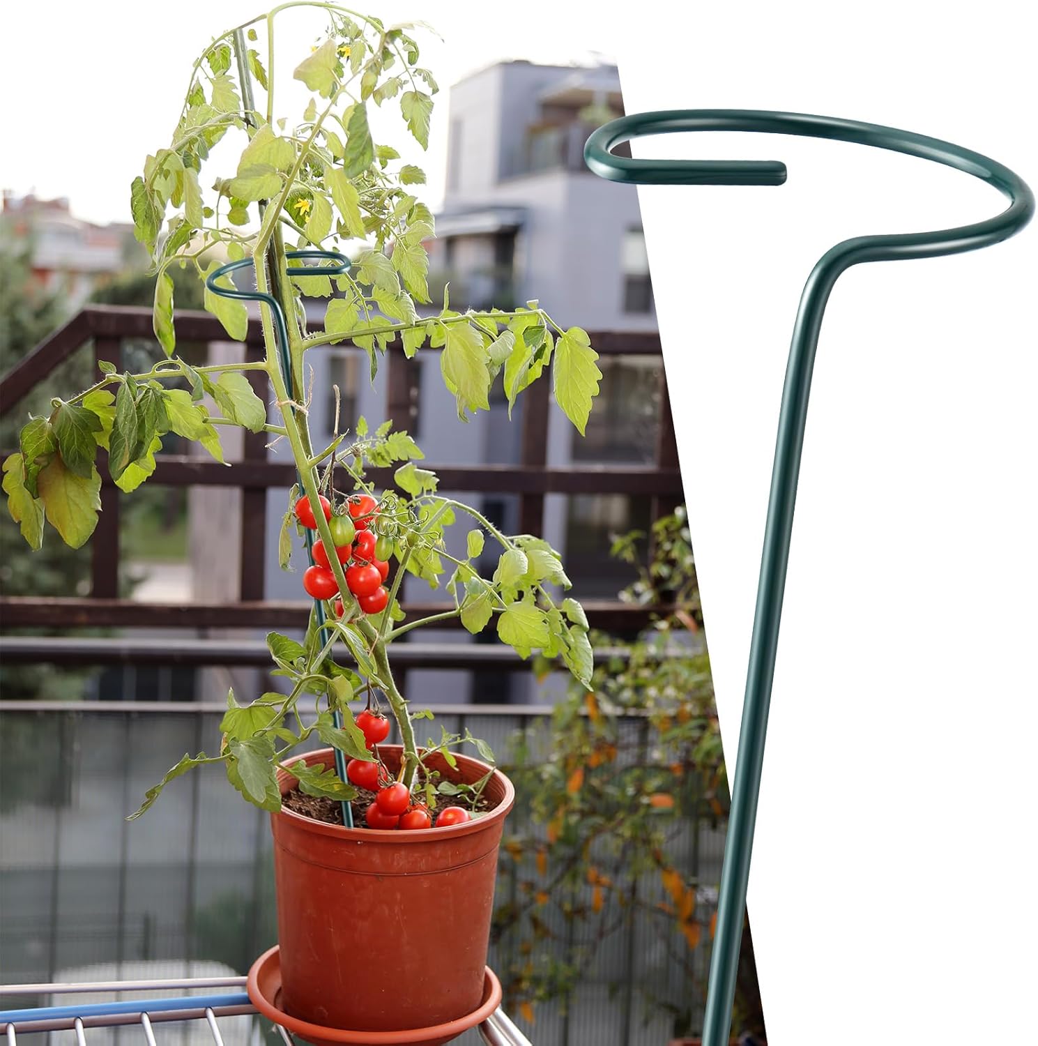 Wenqik 12 Pack 40 Inch Single Stem Plant Stakes Plant Support Stakes Green Plant Holder Metal Garden Stakes Flower Support Ring for Spring Outdoor and Indoor Tomato Peony Rose Lily Herbs Vegetable