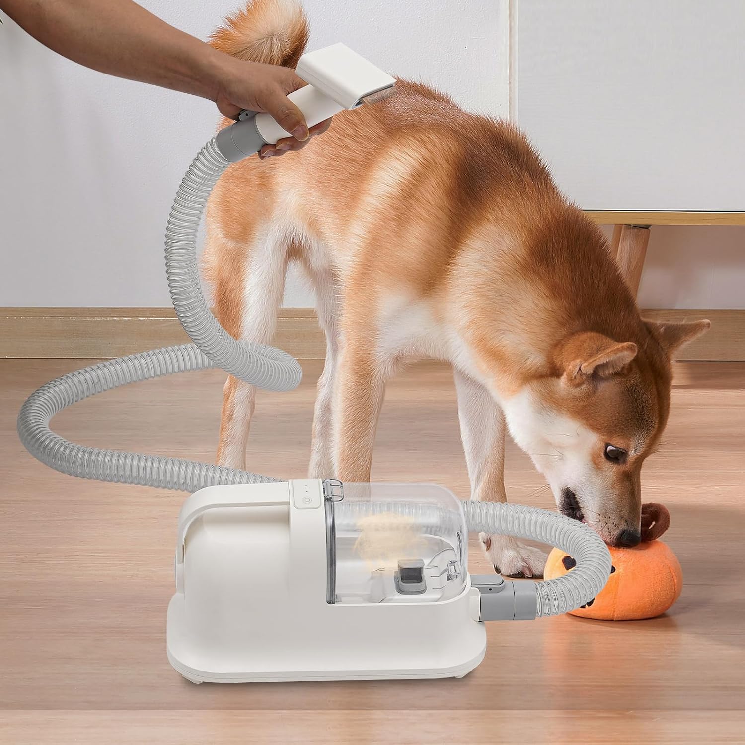 Pet Grooming Vacuum Kit Dog Grooming Vacuum for Shedding,Pet Grooming Tools Cat Dog Hair Vacuum Cleaner Kit for Shaving,Combing,Suction,Low Noise | 11800PA Suction Power | 1.27QT Dust Cup Capacity