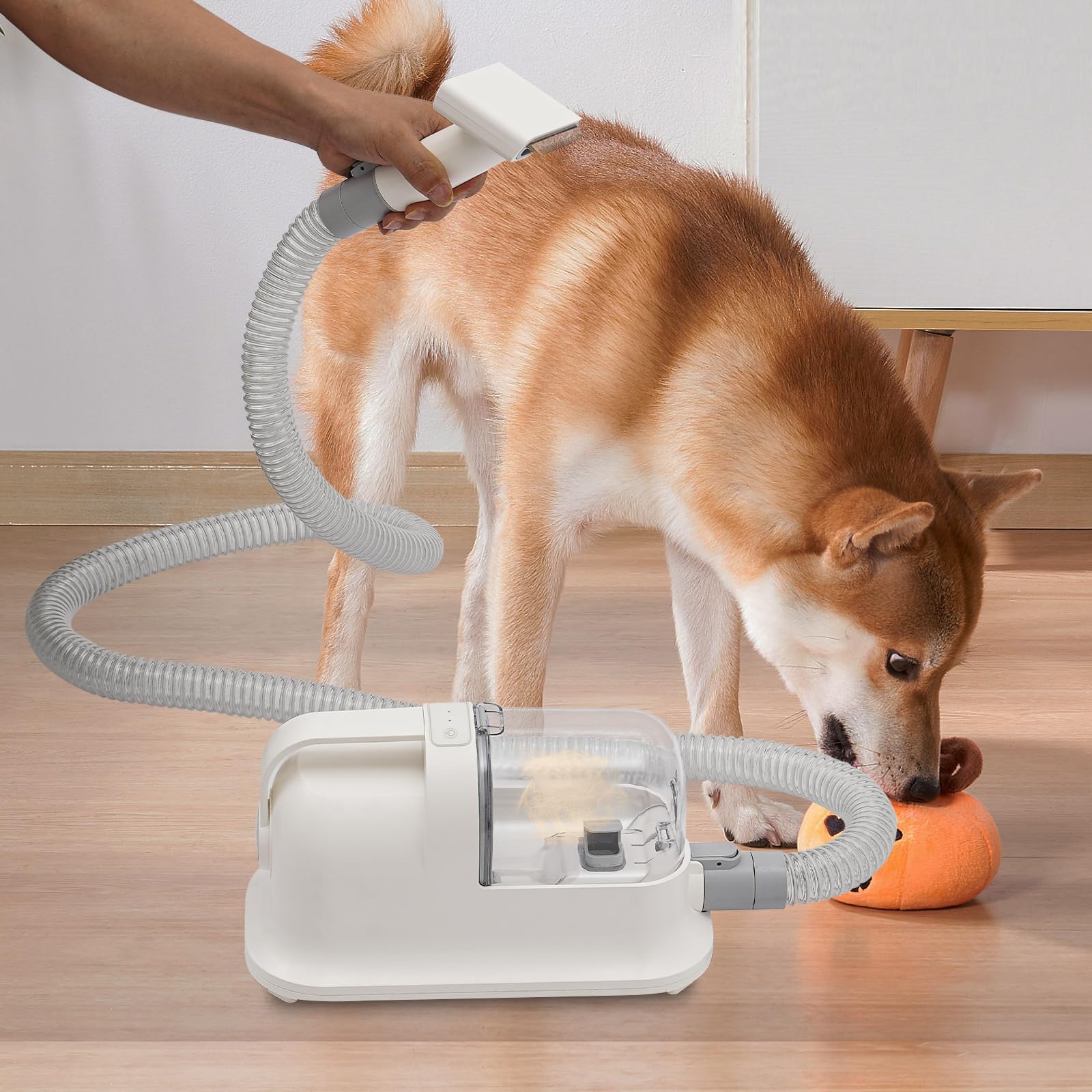 Tondeuse pour chien avec aspirateur, kit de toilettage pour animaux de compagnie avec puissance d'aspiration de 11800 Pa, tondeuse 3 en 1 pour chien, chat, chien avec 7 outils de toilettage, 1,4 l
