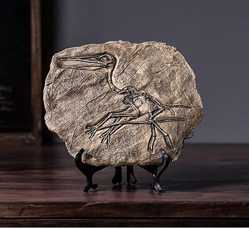 XINDAM Estatua de fósil de dinosaurio de resina, modelo de esqueleto simulado, exhibición en casa y oficina, decoración decorativa de caja de