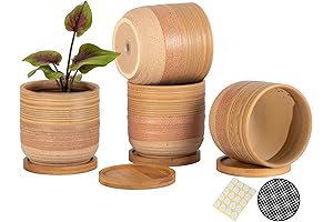 OMAYKEY 4 Planters for Indoor Plants