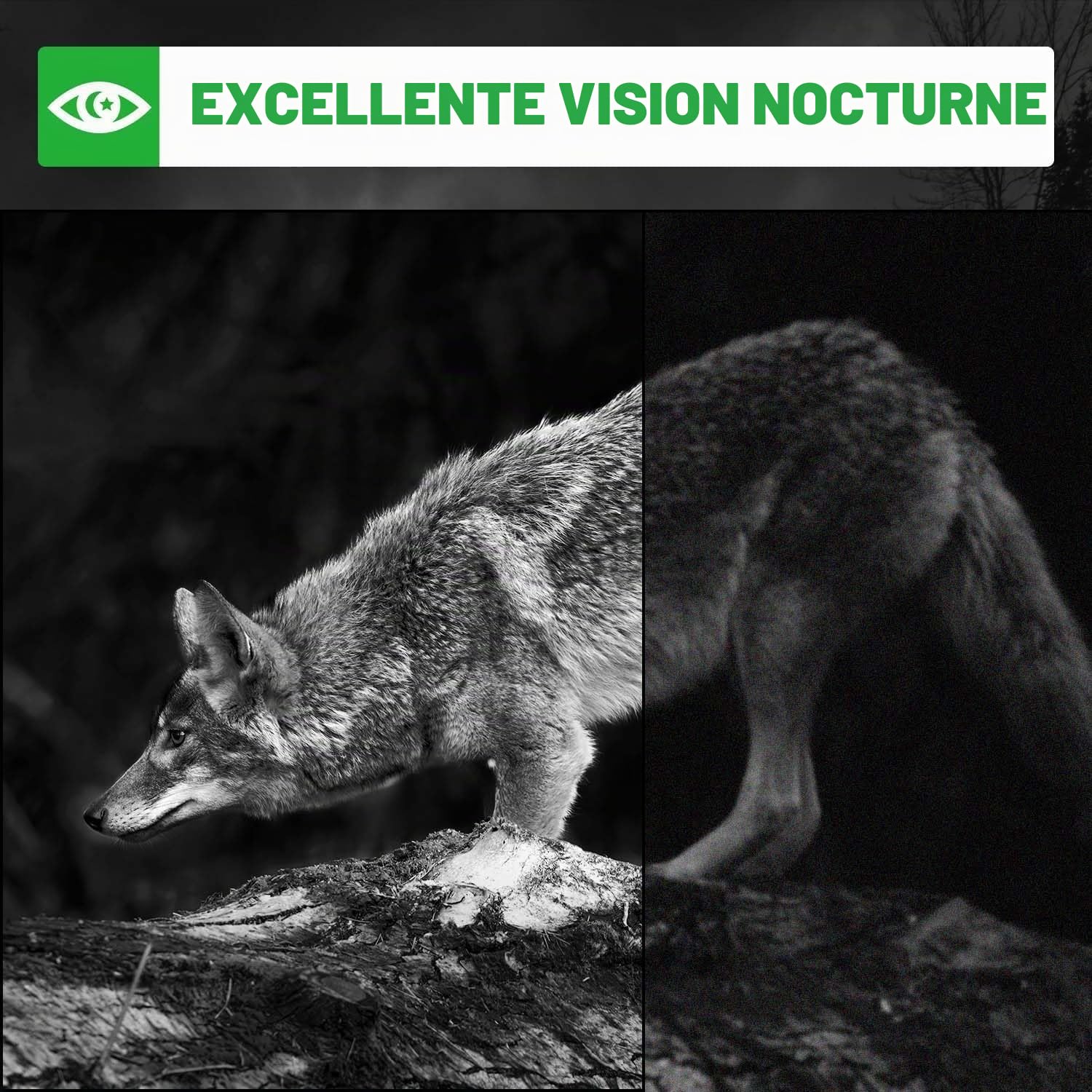 Coolifepro Caméra de Chasse, Caméra de Surveillance 4K, Caméra de Vie Sauvage 48MP avec Vision Nocturne et Détecteur de Mouvement, Portée de 35m, Étanche IP66 & Carte SD 32GB pour l'Observation des