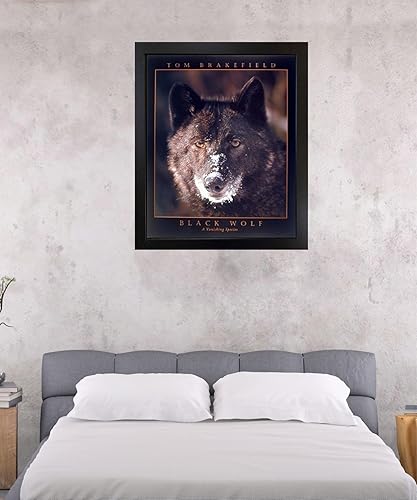 Miniatura 6 de Póster artístico para decoración de pared, diseño de lobo negro (una especie desaparecida) (16 x 20 pulgadas)