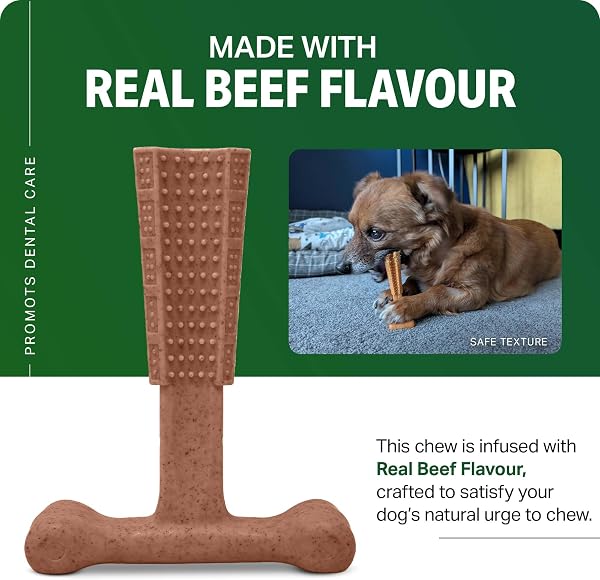 Bamboodles Dog Chew Toy – Small | Beef Flavour | Long Lasting Chew toy for Small Dogs | Durable and Safe Daily Chew - 4