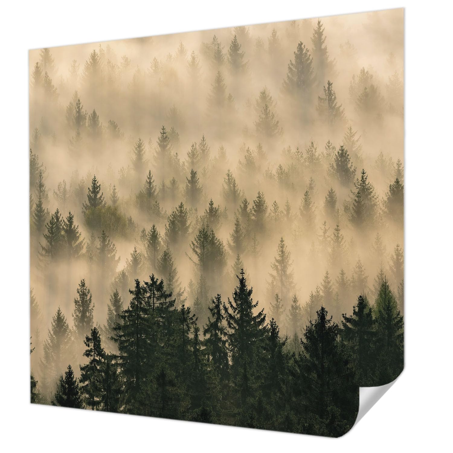Papier peint adhésif résistant aux taches motif forêt 250x250 cm