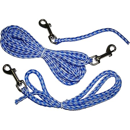 don sullivan training collar