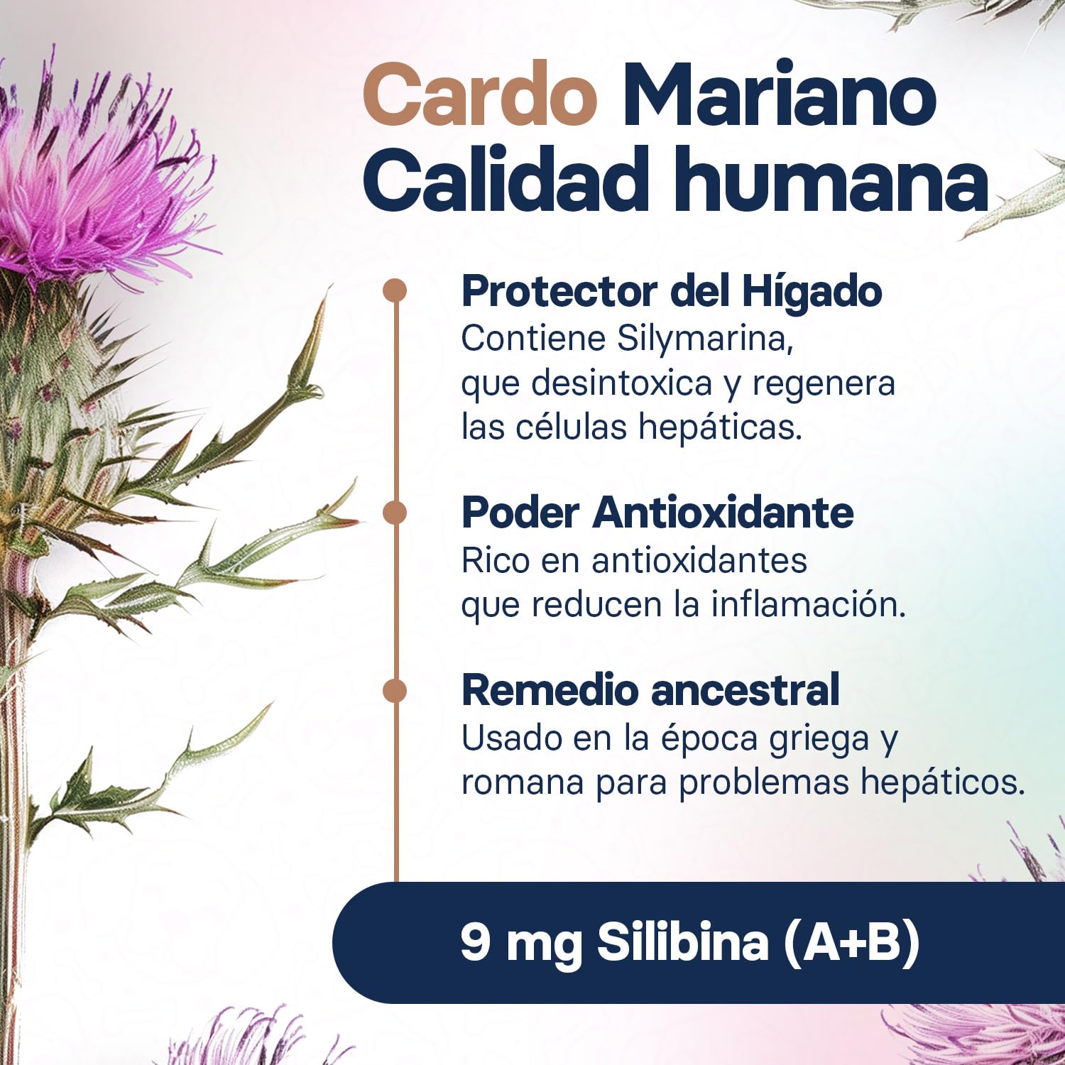 Suplemento Hepático para Gatos - Suplemento de Cardo Mariano para Mejorar la Salud Hepática - con S-Adenosilmetionina (Same) y Silibina - 30 Comprimidos
