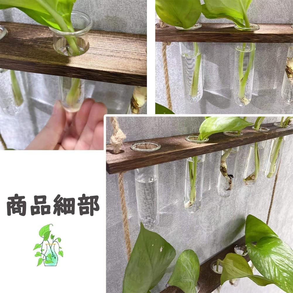 Amazon.co.jp: Fiegcit フラワーベース 試験管 壁掛け花瓶