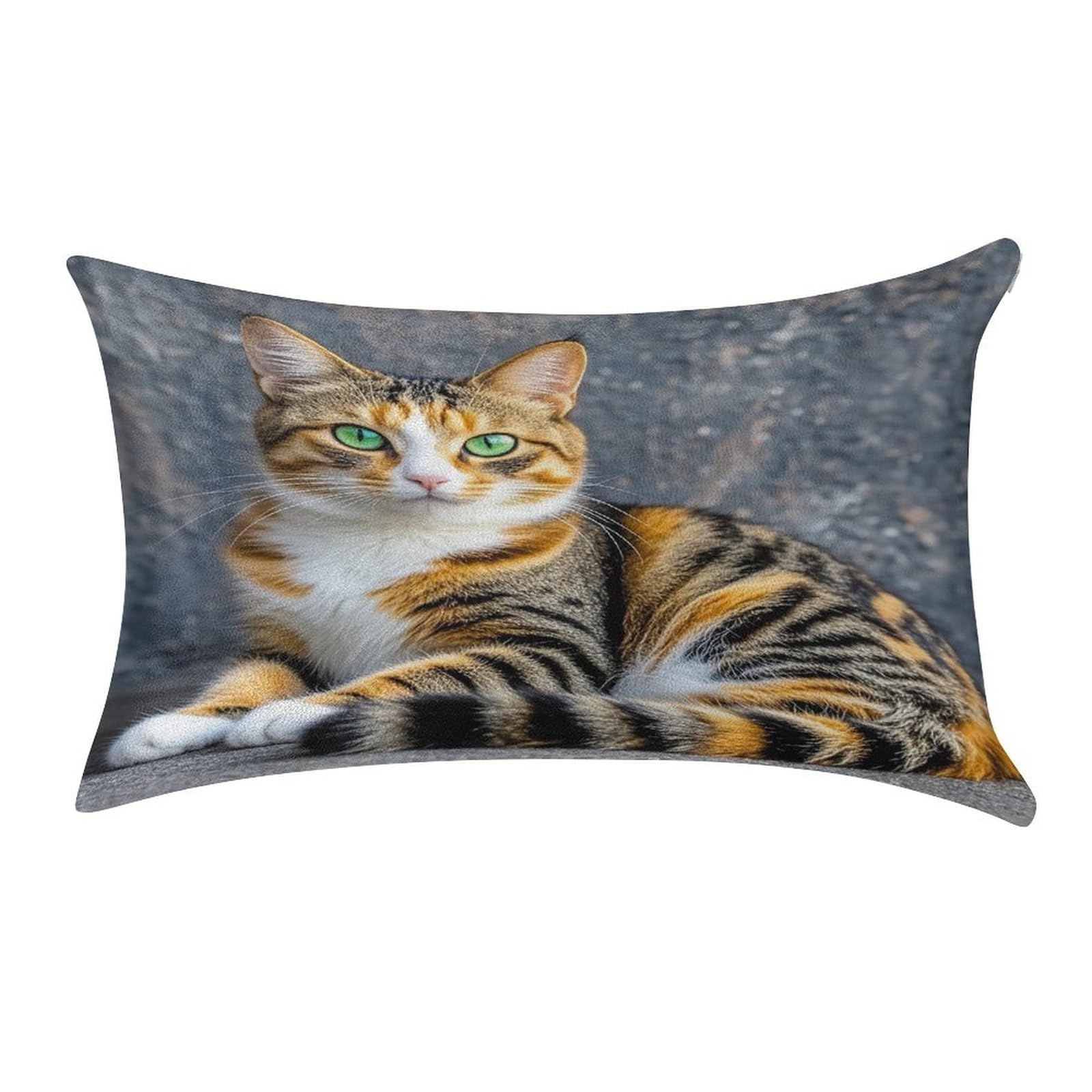 FekiLoot Cat Pillow Covers Luxury Velvet Oblong Pillowcases Rectangular Throw Pillows Case Decorative Velvet Cushion Covers Ultra Soft Lumbar Pillow Shells 12 X 20 in
