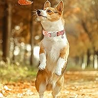 Vista 131 de Aring Pet Collar de algodón, ligero y ajustable, con hebilla de liberación rápida para perros pequeños, medianos y grandes, para cachorros, XS