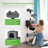 Ver la foto 2
