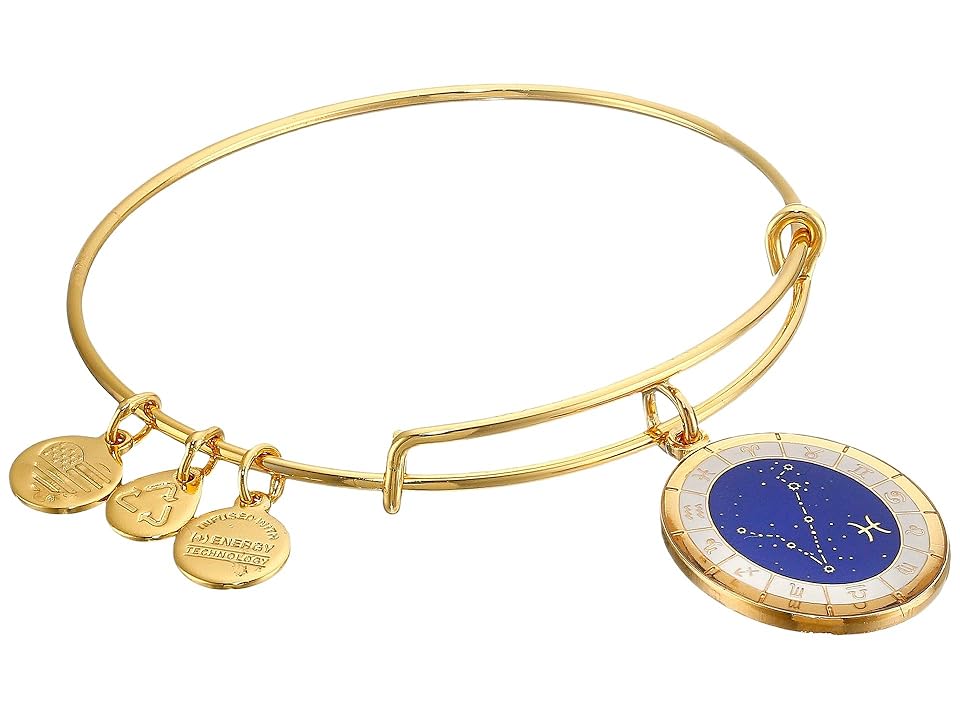 

Alex and Ani Celestial Wheels Pisces Constellation Bangle (Yellow Gold) Bracelet