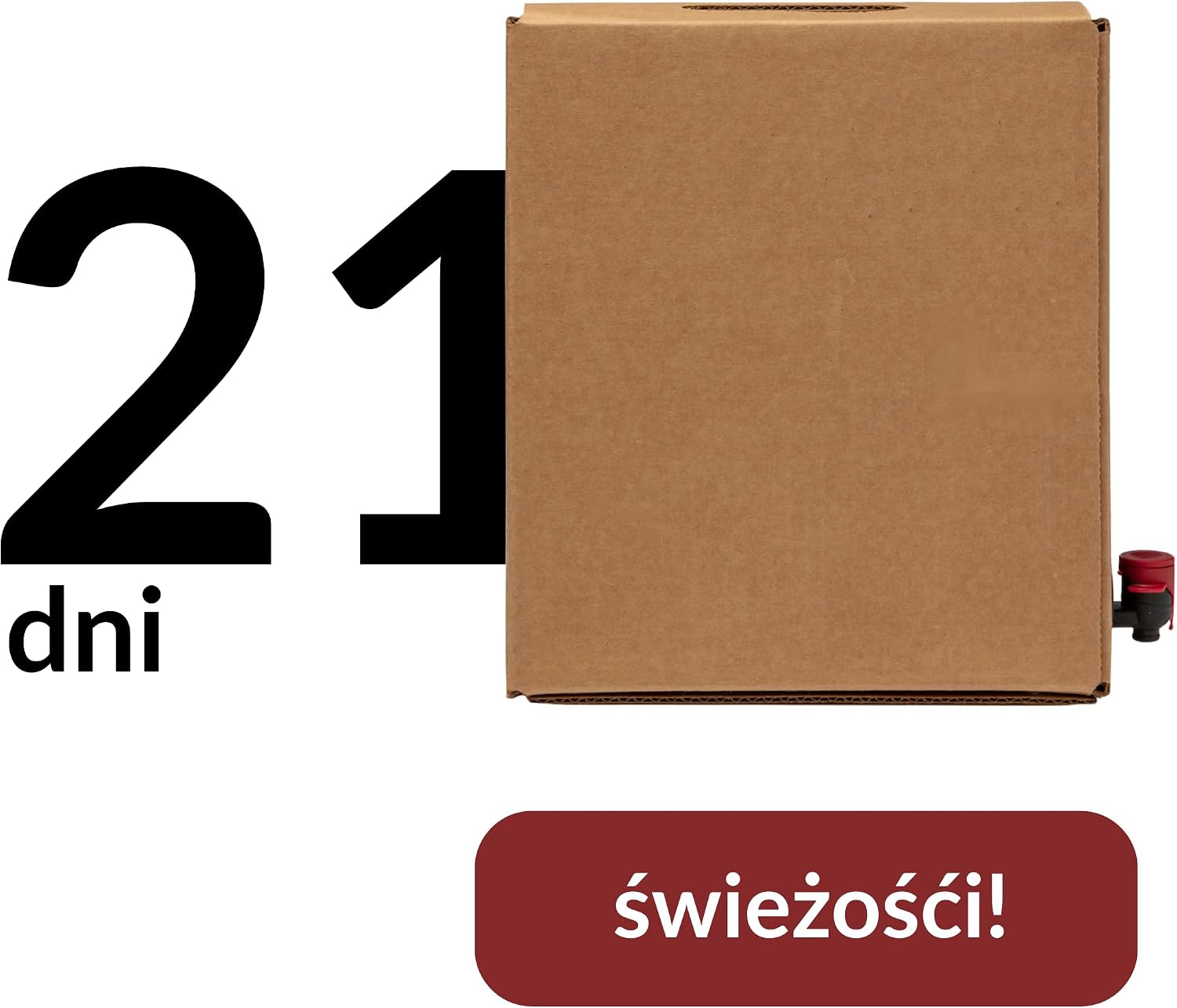 Sadvit | Красный томатный сок, не из концентрата | 250 мл, Bag in Box, овощной сок NFC | Отжатый из польских помидоров | Без сахара и консервантов | Большая упаковка | Срок свежести — 21 день | Урожай этого года
