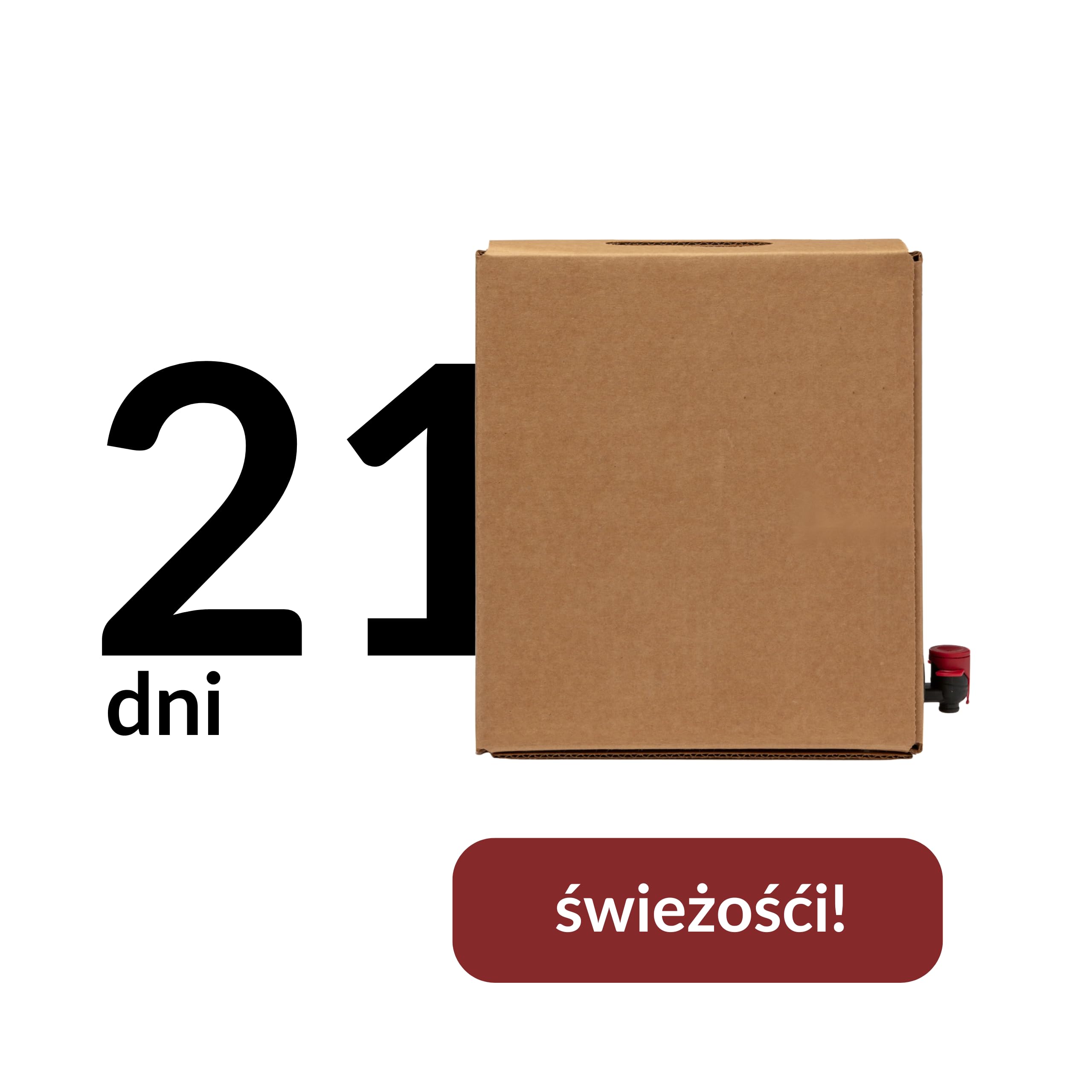 Sadvit | Kwiatowy Sok z Czarnego Bzu nie z koncentratu | 1,5L Bag in Box Sok owocowy NFC | Tłoczony Kwiatowy Intensywny | Bez Cukru i Konserwantów | Do Herbat i Naparów | Źródło Antocyjanów i Witamin