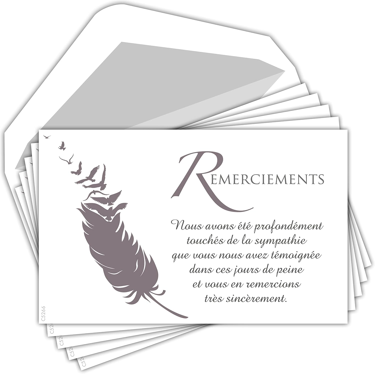 C5266 Pack of 5 Thank You Cards 135 x 85 mm with 5 White Envelopes - Bird Feather
