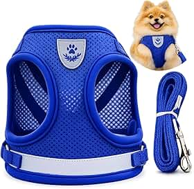 Guia Coleira Peitoral para Cachorro/cães e Gatos Pet Colete Refletivo Tam P Anti puxão – Ideal para Filhotes, Spitz Alemão, Lulu da pomerânica, Pinscher, Shi Tzu (Azul)