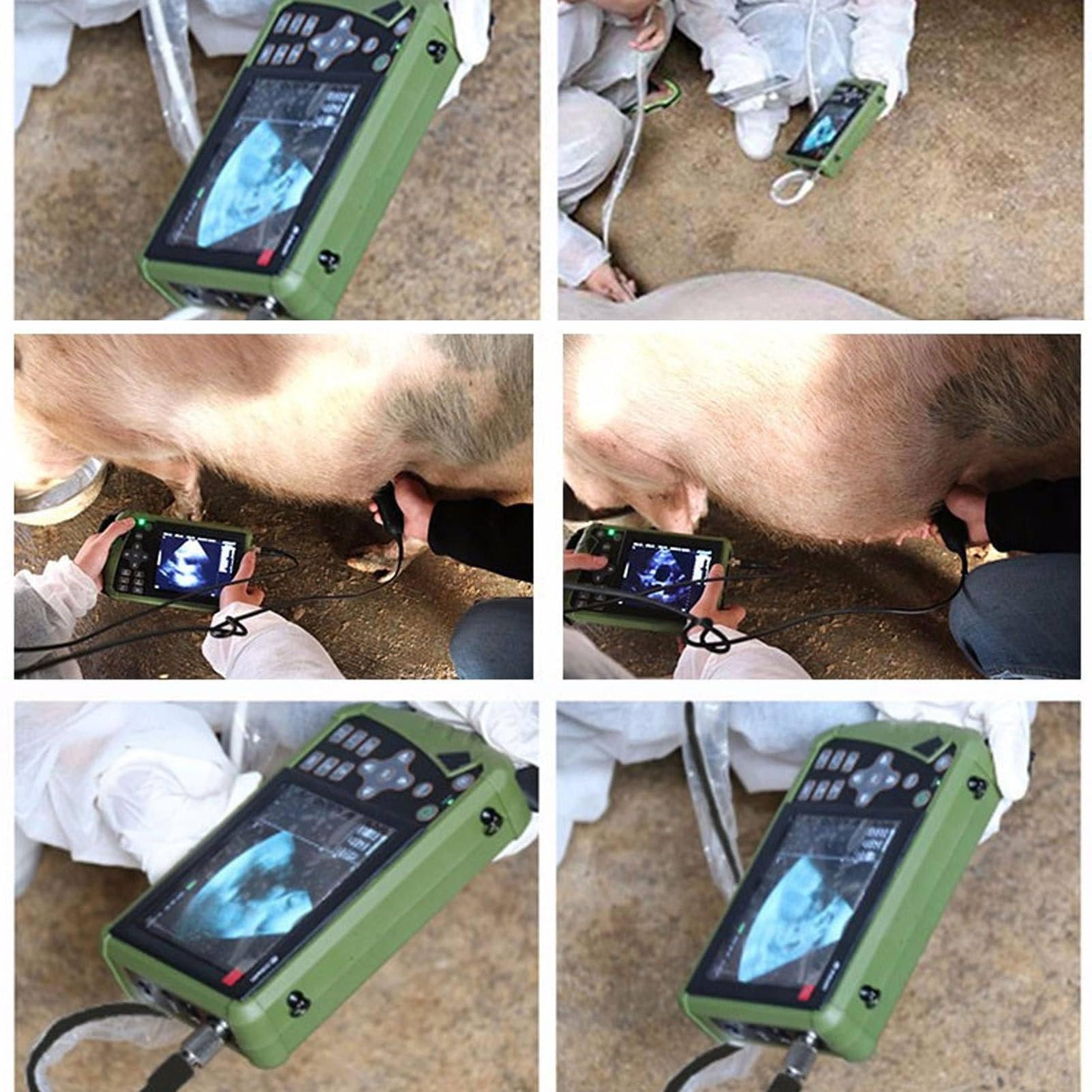 Analizzatore veterinario di ultrasuono con la sonda 3.5MHz per il bestiame e la diagnostica dell'animale domestico, esposizione di LED a 5,6 pollici