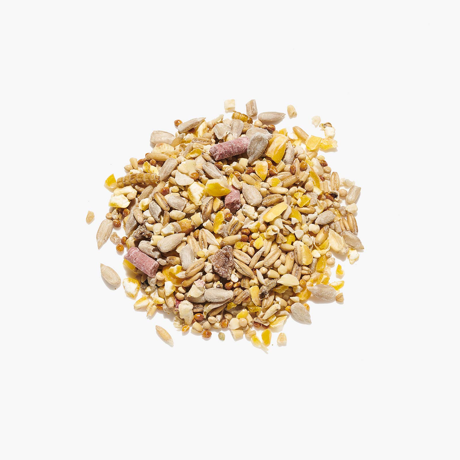 Countrywide Robin & Songbird Wild Bird Seed Mix 15kg - Premium All Year-Round High Energy Bird Food For Robins, Blackbirds and Garden Birds with Sunflower Hearts, Mealworms, Suet, Peanut Granules