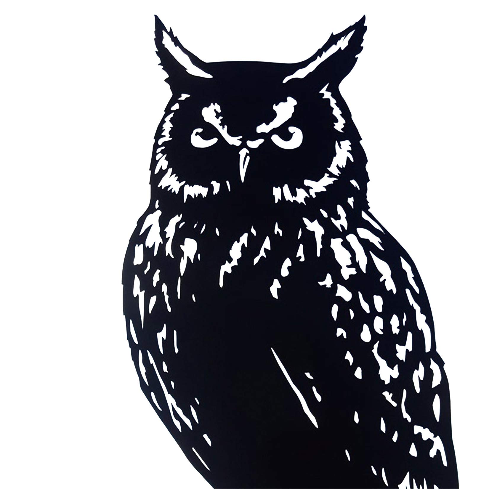 Girouette toit hibou métal avec piquet indicateur de vent pour extérieur