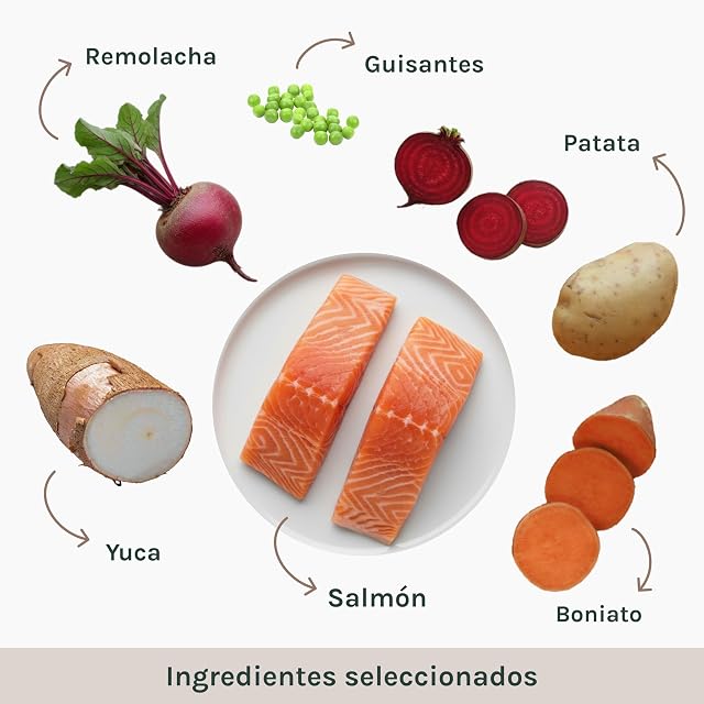 Foto 2 de 6 de GALITO Grain Free Pienso para Perros Salmón 12 kg