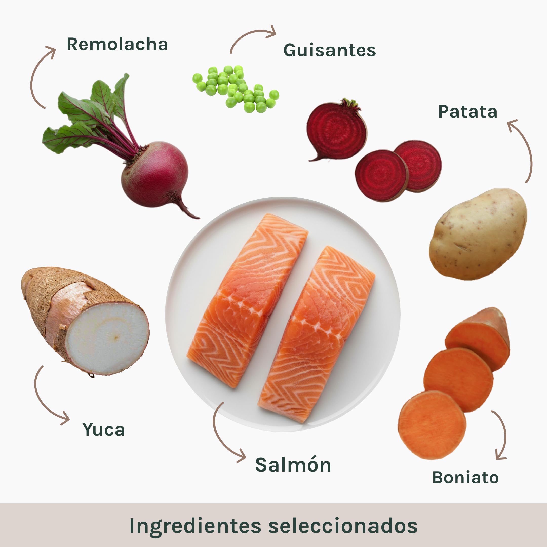 GALITO Pienso para Perros Salmón 12 kg | Sin gluten, Monoproteico animal, Hipocalórico, Prebióticos, Con vitaminas