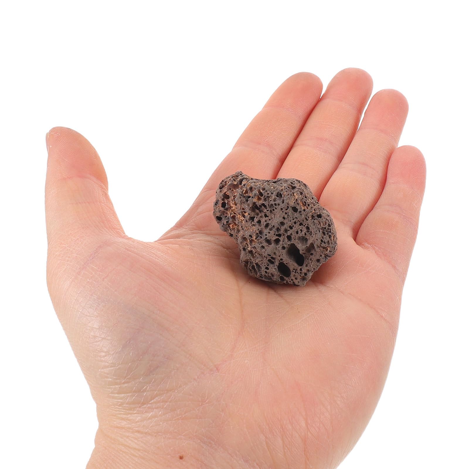 COLLBATH Vulkanische Lavasteine 1,1 Kg Hochporöse Natursteine für Vogeltränken Aquarien und Terrarien Wetterfeste Dekosteine für Garten und Pflanzen