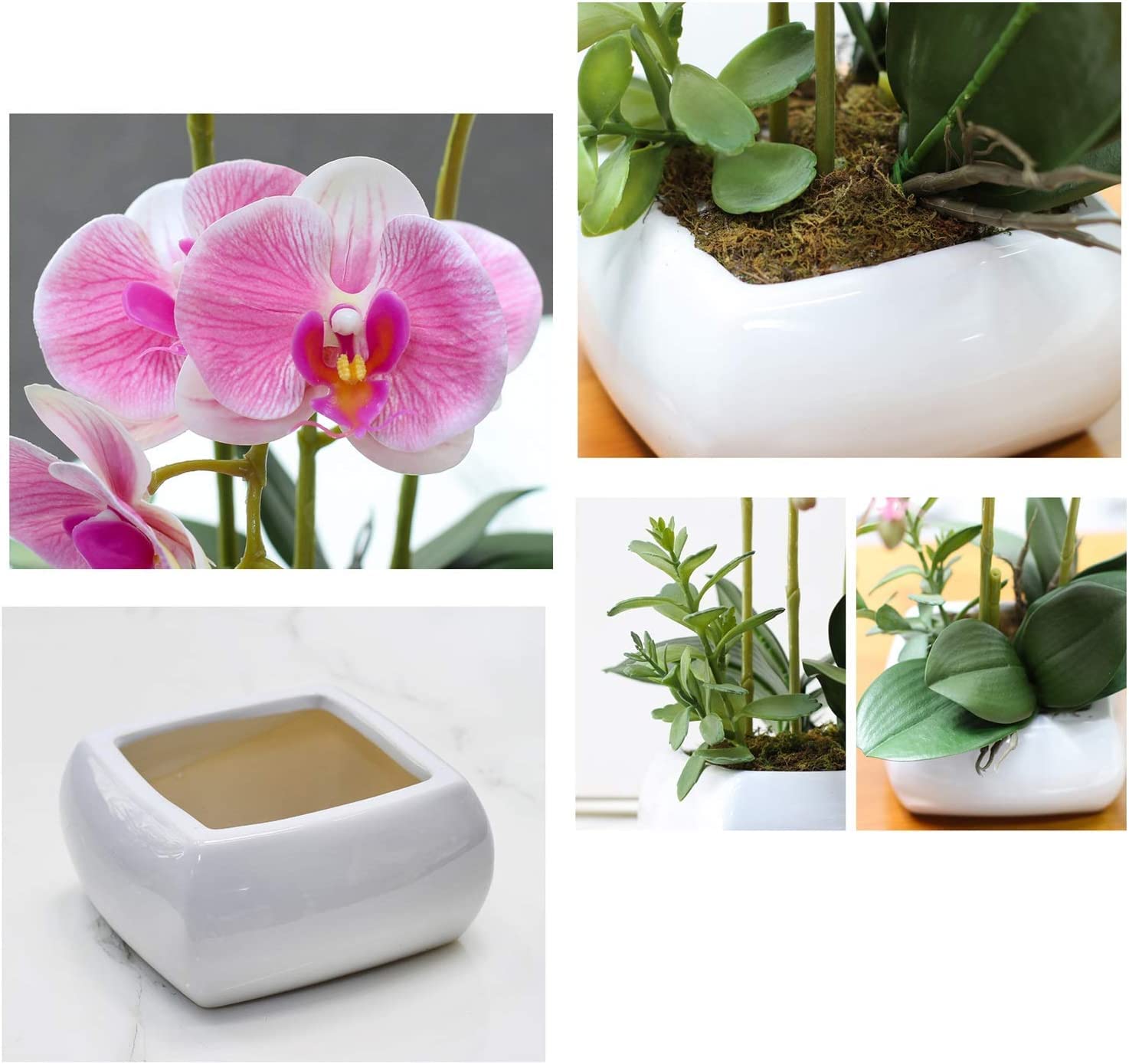 Fiori artificiali Fiori artificiali Vaso decorativo in porcellana Lattice di poliuretano Fiori artificiali Phalaenopsis Vaso per piante Bellissimo,