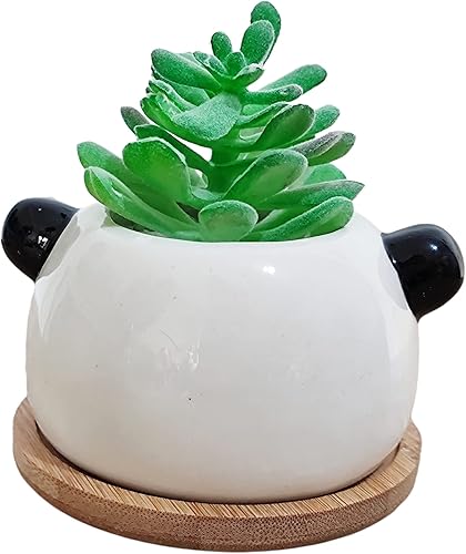 Miniatura 4 de Macetas para suculentas, lindas macetas de cerámica con forma de animal con bandeja de bambú, planta no incluida (pequeña, panda)