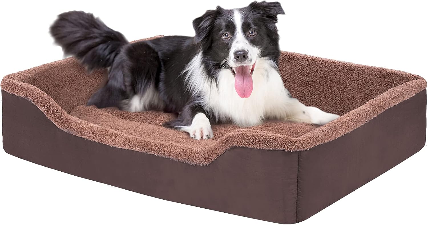 rigid dog bed