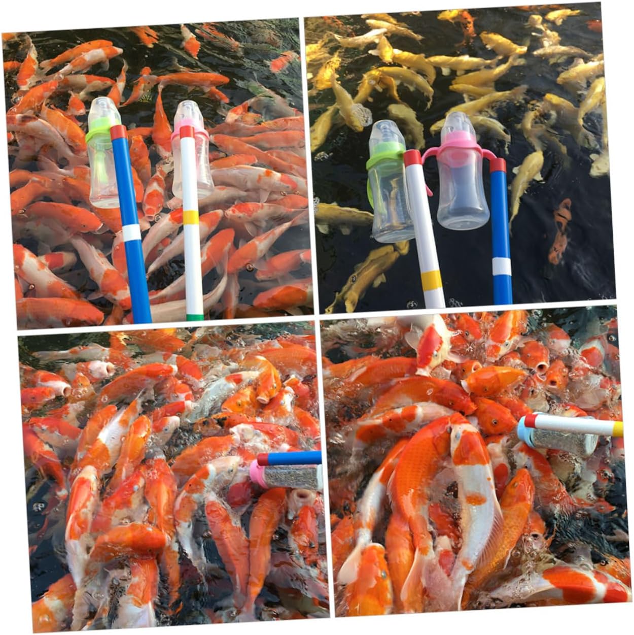 2pcs Fish Food Feeder Bottle for Aquarium Easy Assemble Carp Feeding Tool with Transparent Design Safe Feeding Convenient for Tank Use No Water Pollution