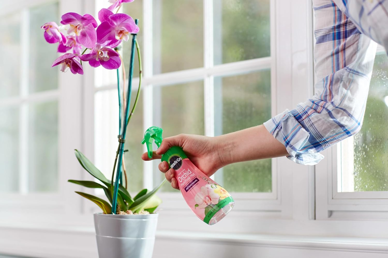 Miracle-Gro Ready-to-Use Orchid Plant Food Mist - Fertilizer Mist for Indoor Blooming Orchids - 8 fl. oz. (2 Pack)