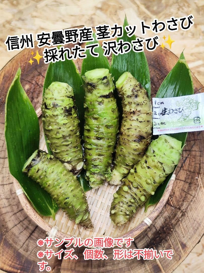 Amazon.co.jp: 200～220g範囲 信州 安曇野産 本わさび 生わさび 茎なし